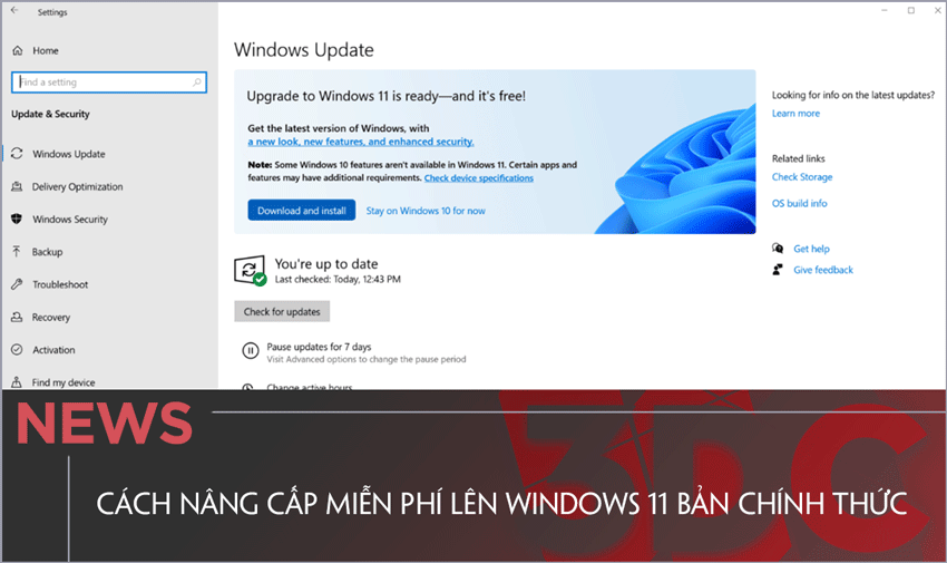 Hướng dẫn nâng cấp lên Windows 11 chính thức không mất phí