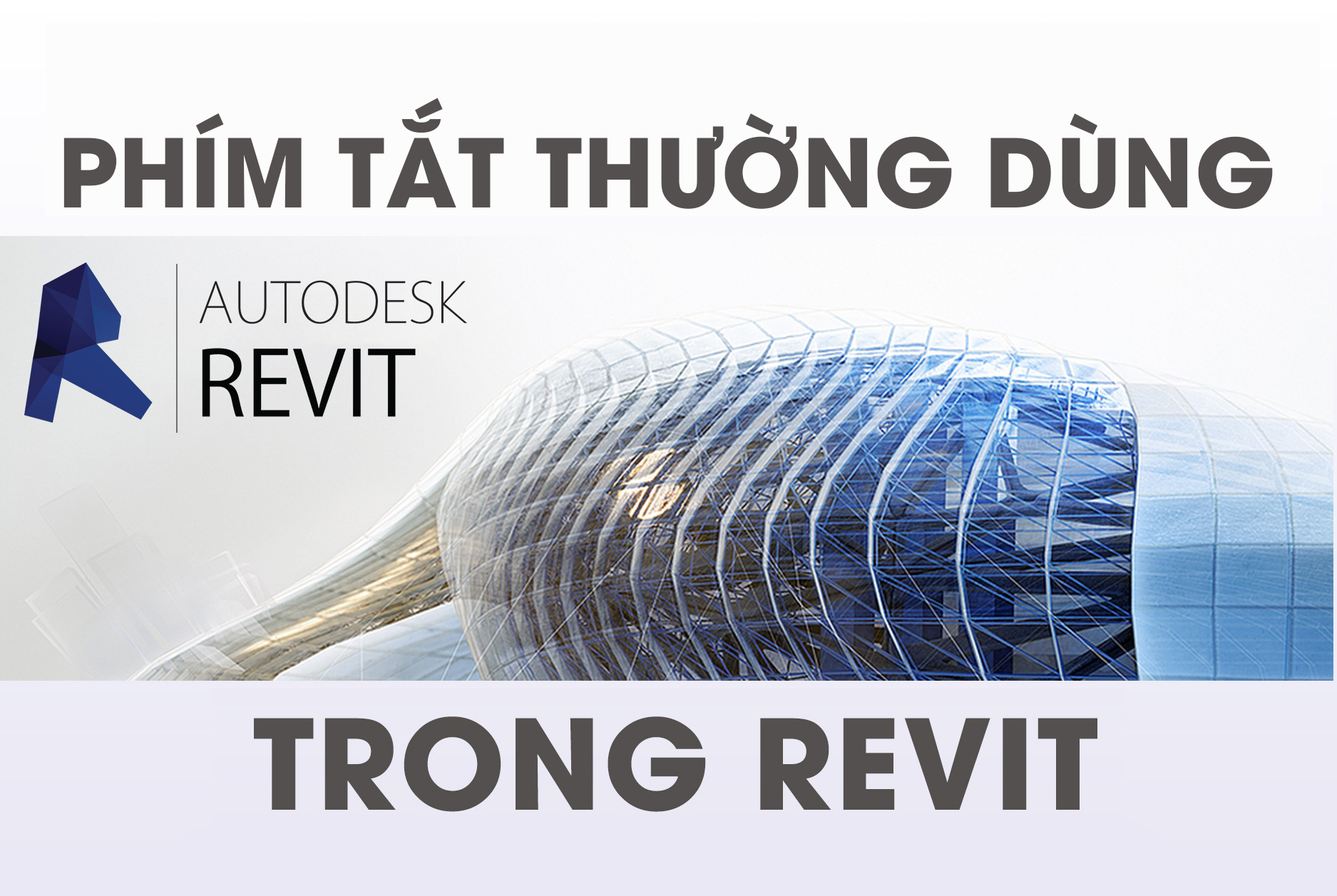 Một số phím tắt thường dùng trên REVIT