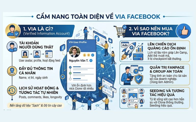 VIA là gì?