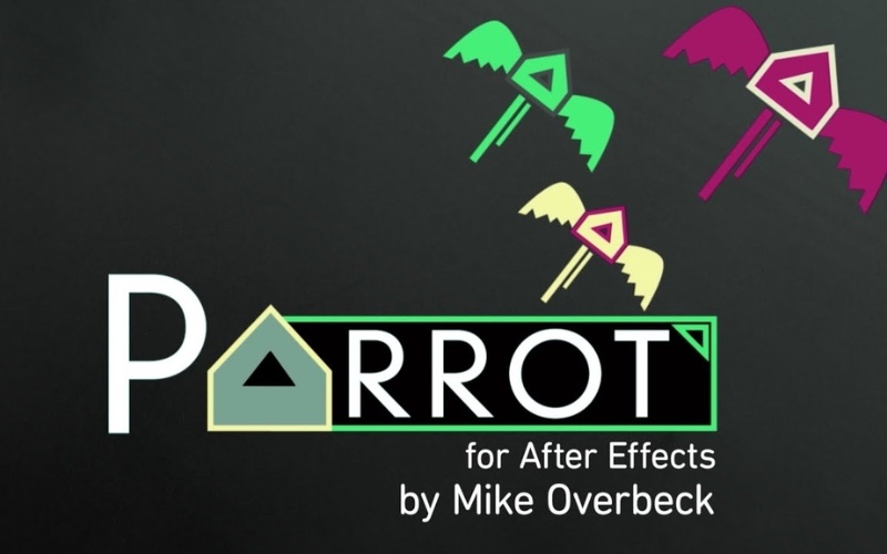 parrot
